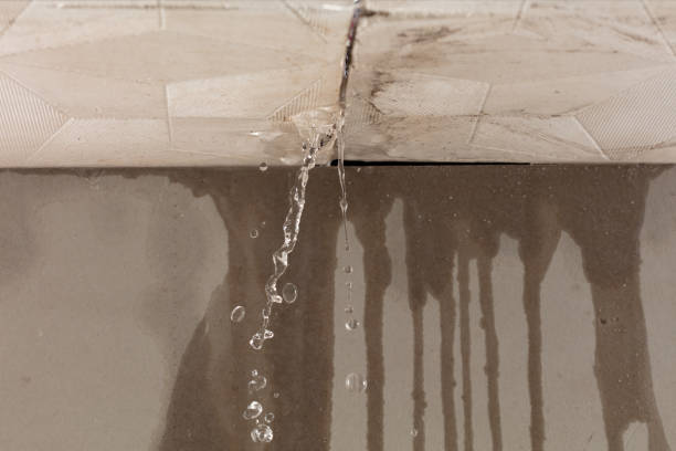 Professional Structural Drying technician working in Oneida, TN